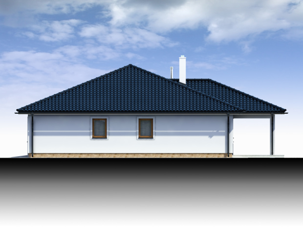 Array - perspektiva PL